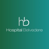 Hospital Belvedere logo - Similar company to Sorh - Serviços E Organizações Em Recursos Humanos Ltda