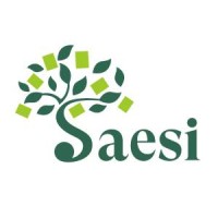 Saesi Srl logo - Similar company to Informare.It