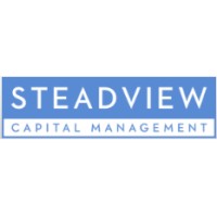 Steadview Capital logo - Similar company to Day Zero Ventures