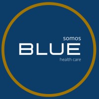 Blue Health Care logo - Similar company to Globalforum - Capacitación Empresarial