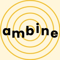 Ambine logo - Similar company to Sour Data