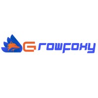 GROWFOXY.COM logo - Similar company to Digital Anshu
