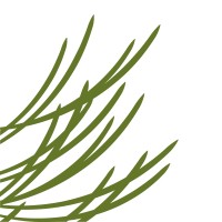 Santa Fe Community Foundation logo - Similar company to Albuquerque Community Foundation