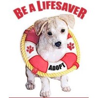 Marrvelous Pet Rescues & Adoptions logo - Similar company to Axios Rcrds