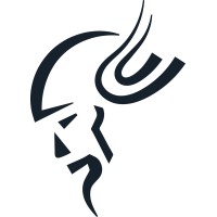 ODIN + Co. logo - Similar company to Bay Digital