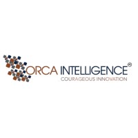 Orca Intelligence logo - Similar company to Orca Intelligence