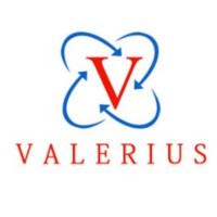 Valerius Enterprise Pvt Ltd. logo - Similar company to Better Power Services Pvt Ltd