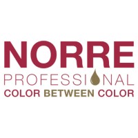 NORRE' PROFESSIONAL logo - Similar company to Cool Breeze Us