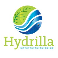 Hydrilla logo - Similar company to Kryzen Biotech | Vertical Hydroponics