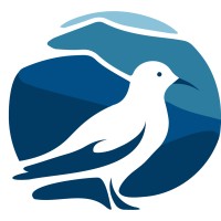 Seagull Software Development logo - Similar company to Slysoft.Dev | Custom Software Development