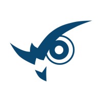 Wise Vision logo - Similar company to Pebbles Ai