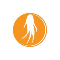 Ginseng LLC logo - Similar company to Doo Dah Holdings