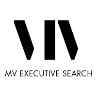 MV EXECUTIVE SEARCH logo - Similar company to Berocam