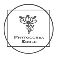 Phytocorsa logo - Similar company to L'Herboriste, Cuisine Végétale