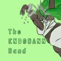 The ENDOCANN Band logo - Similar company to Lainaverseworks