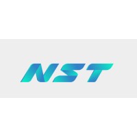 NST-National Sharp Talent logo - Similar company to Mango Associates