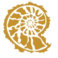 The Stone Collection logo - Similar company to I-Solids