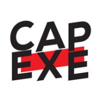 CAP EXE logo - Similar company to Ck Workshop