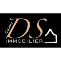 DS Immobilier Rouen logo - Similar company to Mon Agence