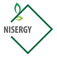 Nisergy Greentech Pvt Ltd logo - Similar company to Mindlay