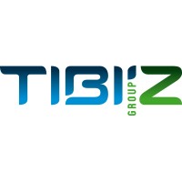 TIBI'Z GROUP logo - Similar company to Comeback - Lighting Solutions