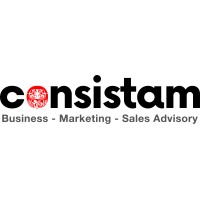 Consistam logo - Similar company to Errebit