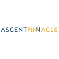 Ascent Pinnacle Capital logo - Similar company to Valuepedia Global