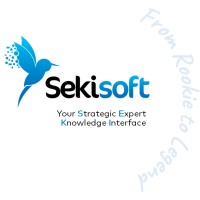 Sekisoft logo - Similar company to Remotebalance