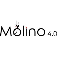 MOLINO 4.0 S.R.L. logo - Similar company to Ofa Srl
