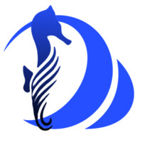 Seahorse Energy logo - Similar company to Royal Oaks Energy Services
