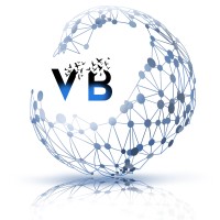 TRUST V&B INVESTMENT logo - Similar company to Angiotres Solutions