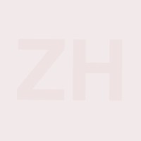 ZH logo - Similar company to Sdui