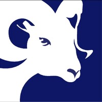 RAM Windows & Doors logo - Similar company to Nt Window Inc.