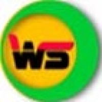 Websofto Technologies logo - Similar company to Pink Technologies