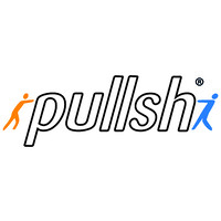 pullsh logo - Similar company to Eisenhorn
