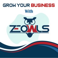 ZeOwls logo - Similar company to Syntec Flow