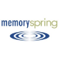 Memory Spring logo - Similar company to Delta-4