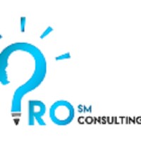 PRO SM CONSULTING logo - Similar company to Gobiz Solutions