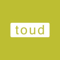 Toud logo - Similar company to Consulttech Solutions Srl