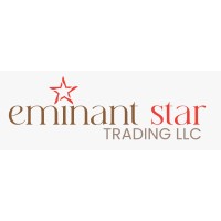 Eminant Star LLC logo - Similar company to Techtron Electromechanical  Llc