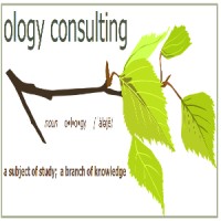 Ology Consulting