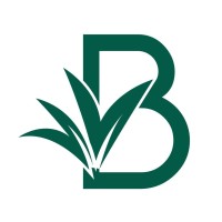 Balanta Cosmetics logo - Similar company to Afro K