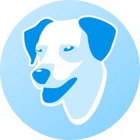 Binogure Studio logo - Similar company to A Little Smarter