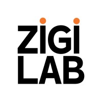 ZIGILAB logo - Similar company to Brilo
