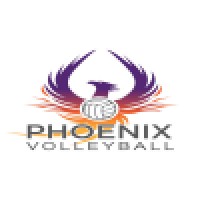 Phoenix Volleyball Inc. logo - Similar company to Wolf Social