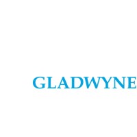 Gladwyne Investments logo - Similar company to Horizon Holdings