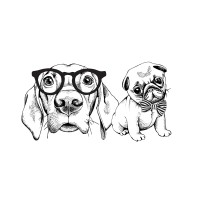 Digital Dogs Content and Media logo - Similar company to Thirdwave Financial Intermediaries Ltd.