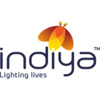 Indiya Intellectual Services logo - Similar company to Skygraph Technology Solutions