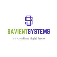 Savient Systems logo - Similar company to Savient