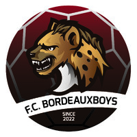 FC Bordeauxboys logo - Similar company to Electrocross